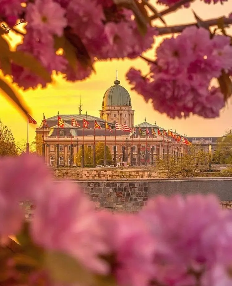Quartier du Château de Buda à Budapest, visite privée en français